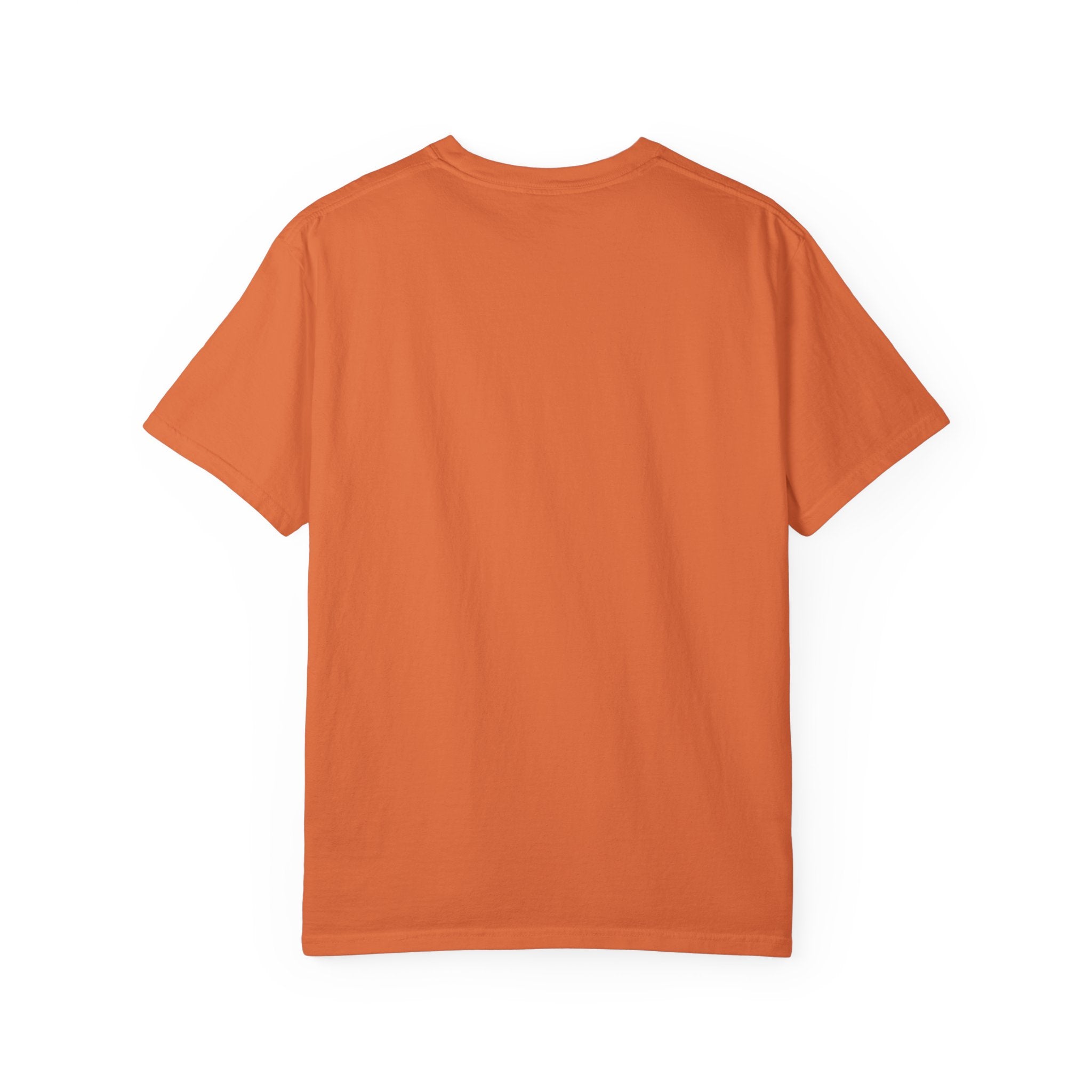 Original Unisex Ally T-shirt