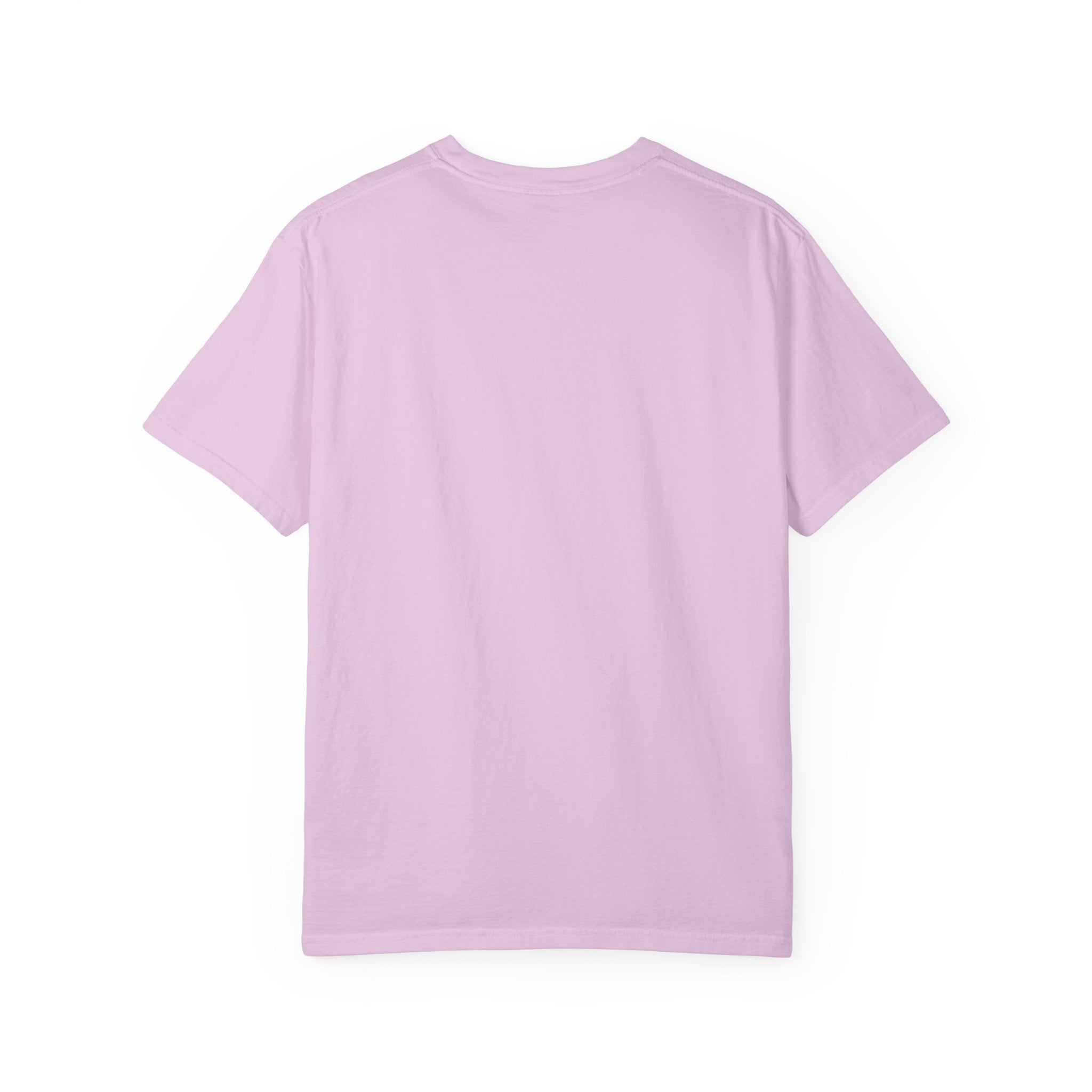 ALLY Rainbow Pride T-Shirt