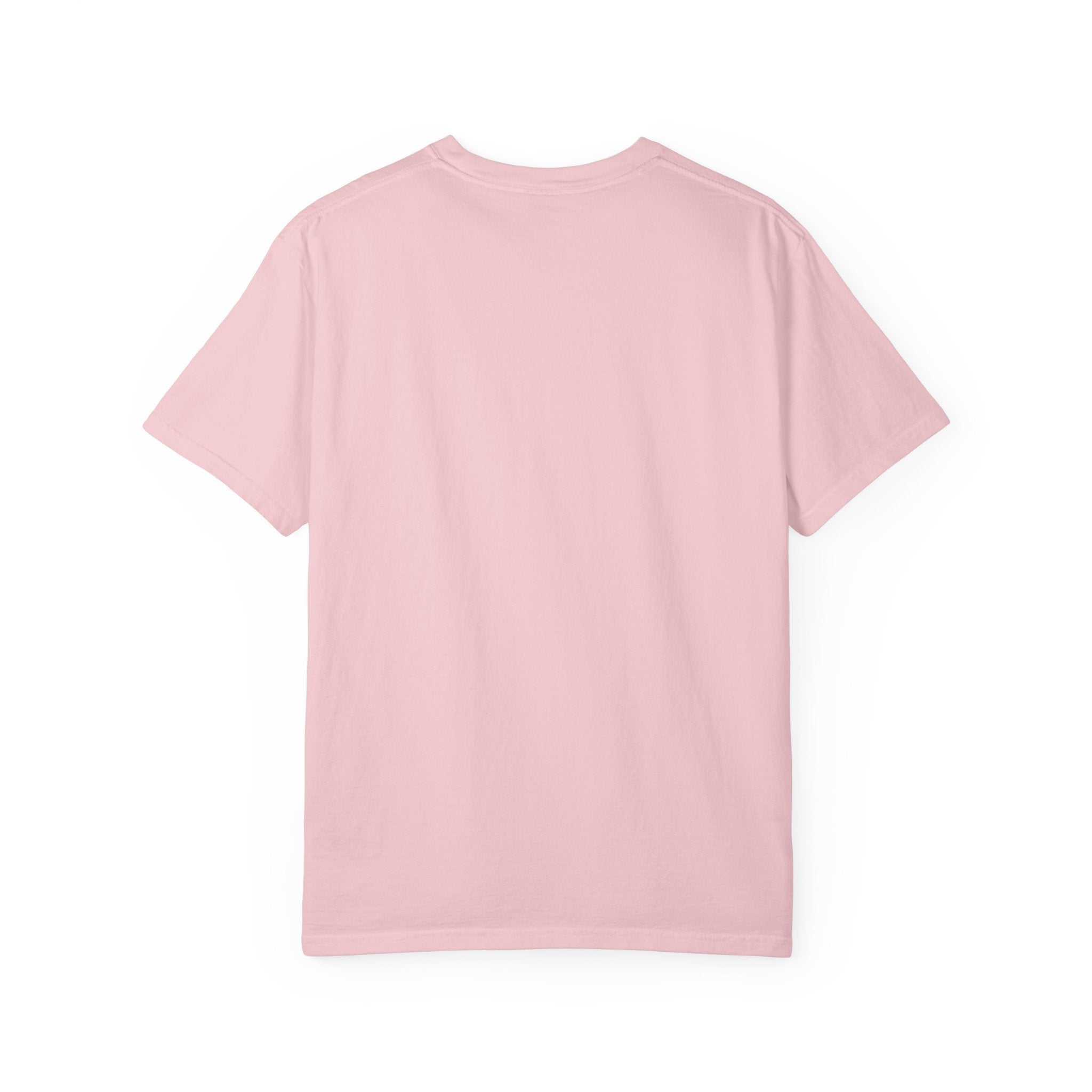ALLY Rainbow Pride T-Shirt